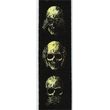 d addario planet waves alchemy gothic muted skulls zoni ilektrikis kitharas mpasoy photo