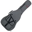 gator gt acoustic gry thiki akoystikis kitharas photo