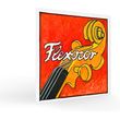 pirastro flexocor a 336120 xordi tselloy photo