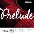 d addario j813 1 2 medium xordi biolioy photo