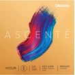 d addario ascente a311 4 4 medium tension xordi mi biolioy photo