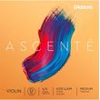 d addario ascente a313 4 4 medium tension xordi re biolioy photo