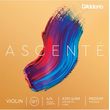 d addario ascente a314 4 4 medium tension xordi sol biolioy photo