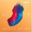 d addario ascente a310 4 4 medium tension xordes biolioy set photo