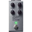 jackson audio blossom compressor petali photo