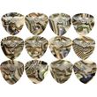 prodigy pennes mpoyzoykioy tzoyra mpaglama klasiki medium abalone set 12tmx photo