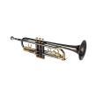 trompeta gewapure roy benson b flat tr 101k photo