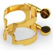 rico sfigktiras klarinetoy bb me kapaki gold photo