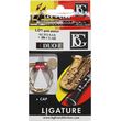 bg sfigktiras ld1 gia klarino bb alto saxofono photo