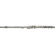 stagg ws fl241s flaoyto photo