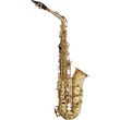 stagg ws as215s alto saxofono photo