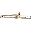 stagg ws tb285s tromponi photo