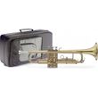 stagg ws tr215s trompeta bb me malaki thiki photo