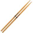 promark txgkaww 5a glenn kotche active wave hickory mpagketes photo