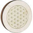 meinl sonic energy hd16wb fol tympano xeiros 16 flower of life photo