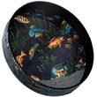 remo fish ocean drum 25 x 22 photo