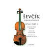 sevcik studies op1 n 1 photo