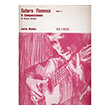 medina emilio guitarra flamenca 6 composiciones album ii photo