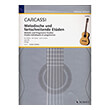 carcassi matteo melodic and progressive studies opus 60 photo