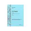 bach j s concerto in a minor no1 bwv1041 photo