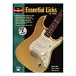 basix essential licks for guitar photo