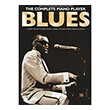 the complete piano player blues photo