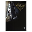 evanescence the open door photo