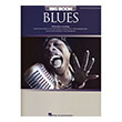 the big book of blues photo
