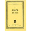 liszt missa solemnis graner festmesse photo