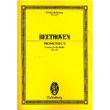 beethoven promitheus ouverture photo