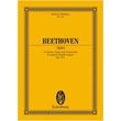 beethoven string trio op 87 photo