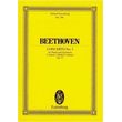 beethoven piano concerto no3 photo