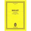 mozart flute concerto kv313 photo