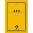 brahms trio op101 photo