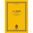 bach kantata bwv 106 photo