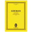 schumann piano concerto photo