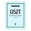 franz liszt grandes etudes de paganini fur klavier ekdoseis breitkopf photo