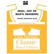 bach js jesujoy of man s desiring photo