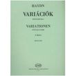 haydn variations in f min photo