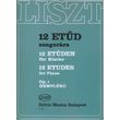 liszt 12 etude op1 photo
