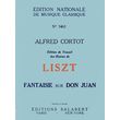 liszt fantaisie sur don juan photo