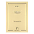 haug capriccio photo