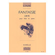 faure  fantasie op79 photo