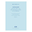beethoven  adagio fur eine spieluhr photo