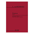 beethoven  romance op50 photo