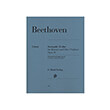 ludwig van beethoven serenade for piano and flute violin op 41 photo