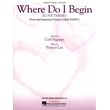 where do i begin love theme from love story pvg photo
