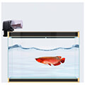 coolseer wifi fish feeder extra photo 3