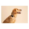 tractive gps tracker for dog 4 black extra photo 1