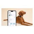 tractive gps tracker for dog 4 black extra photo 3